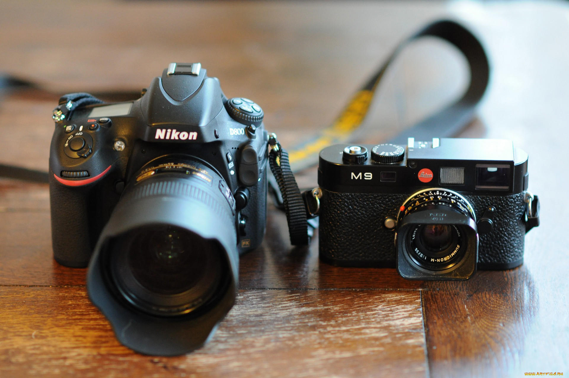 , nikon, , 